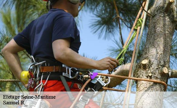 Etetage 76 Seine-Maritime Samuel R