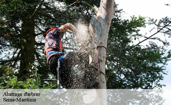 Abattage d'arbres Seine-Maritime 