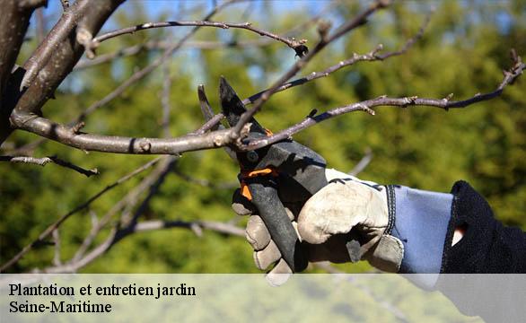 Plantation et entretien jardin Seine-Maritime 