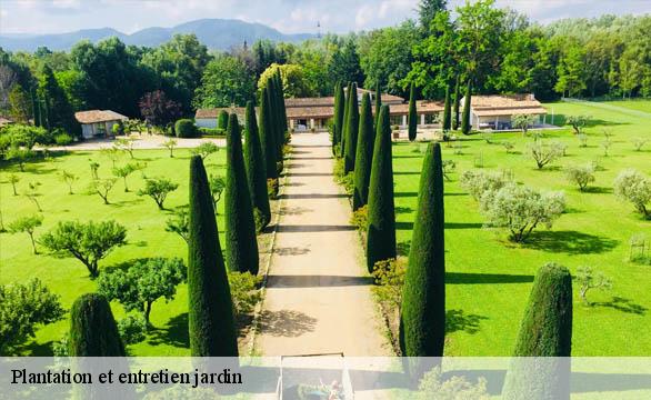 Plantation et entretien jardin Seine-Maritime 