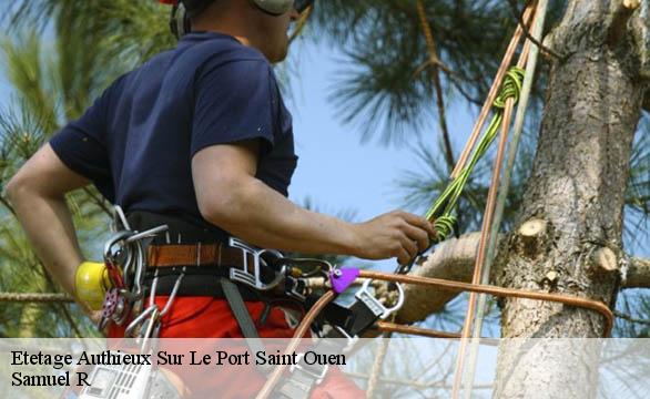 Etetage authieux-sur-le-port-saint-ouen-76520 Samuel R