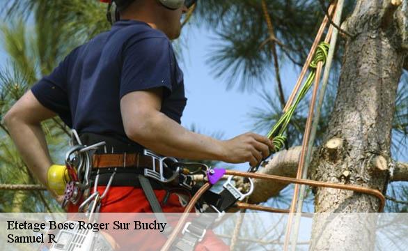 Etetage  bosc-roger-sur-buchy-76750 Samuel R