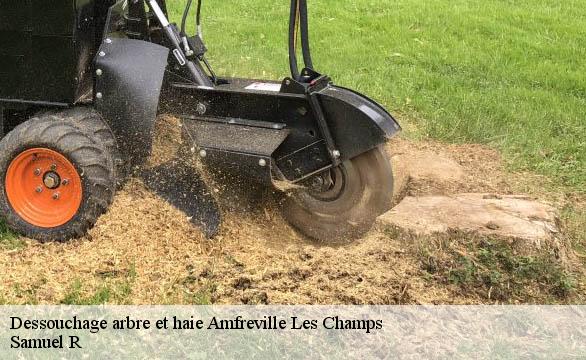 Dessouchage arbre et haie  amfreville-les-champs-76560 Samuel R