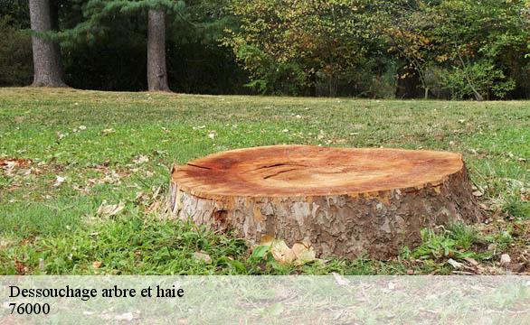 Dessouchage arbre et haie 76000