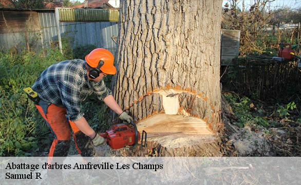 Abattage d'arbres  amfreville-les-champs-76560 Samuel R