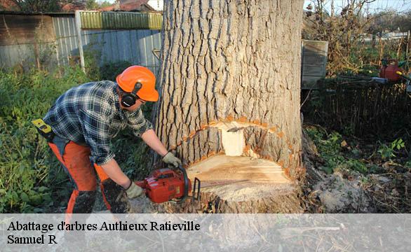 Abattage d'arbres  authieux-ratieville-76690 Samuel R