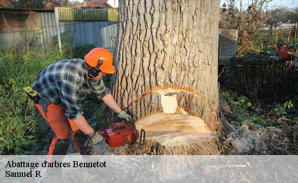 Abattage d'arbres bennetot-76640 Samuel R