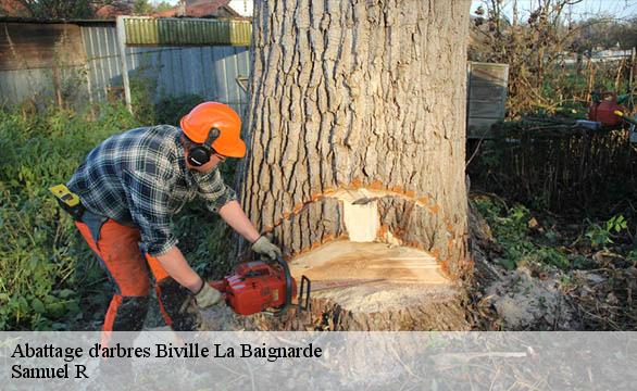Abattage d'arbres  biville-la-baignarde-76890 Samuel R