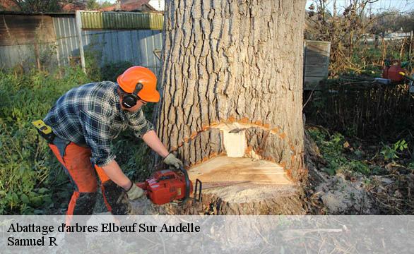 Abattage d'arbres  elbeuf-sur-andelle-76780 Samuel R