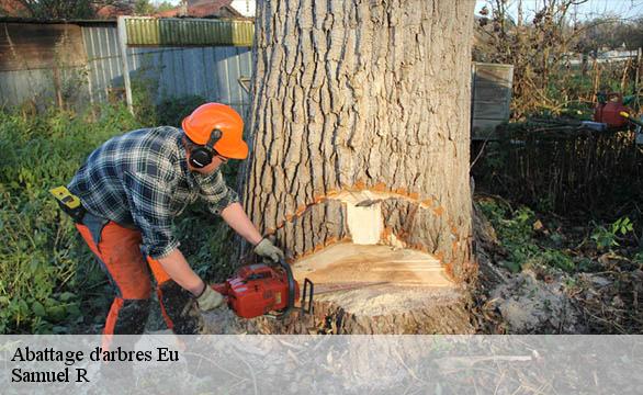 Abattage d'arbres eu-76260 Samuel R