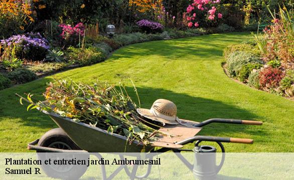 Plantation et entretien jardin  ambrumesnil-76550 Samuel R