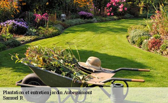 Plantation et entretien jardin aubeguimont-76390 Samuel R