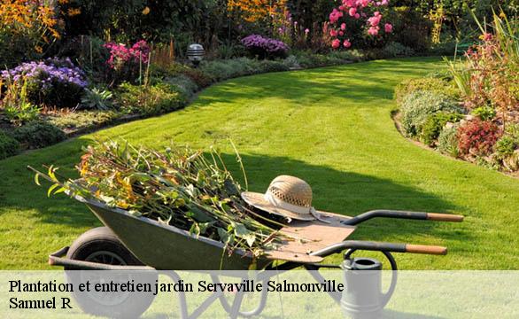 Plantation et entretien jardin  servaville-salmonville-76116 Samuel R