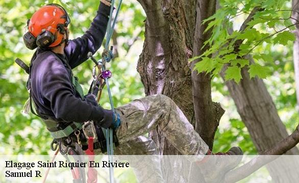 Elagage  saint-riquier-en-riviere-76340 Samuel R